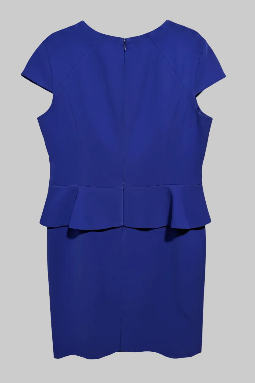Back view of the purple plus size Anne Klein dress highlighting the clean silhouette and rear zipper closure.