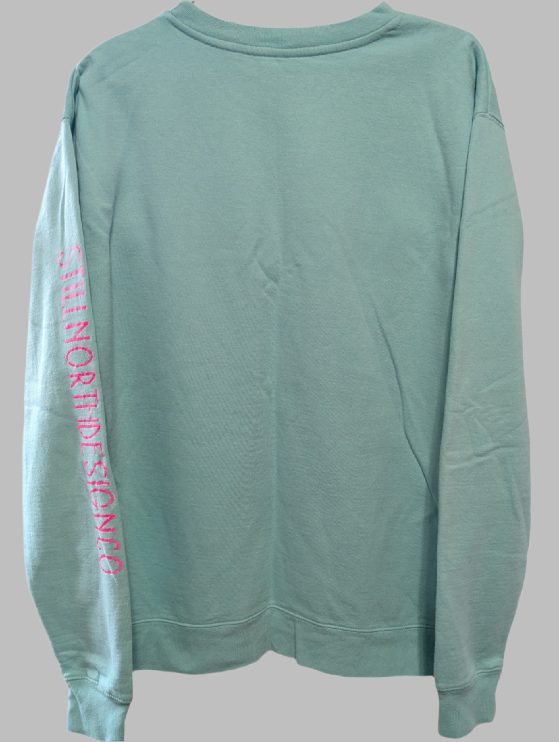 Back view of the relaxed fit teal cotton-blend pullover sweatshirt on a white background, highlighting its cozy slouchy silhouette.
